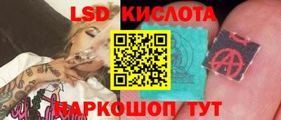 PSILOCYBIN Можга