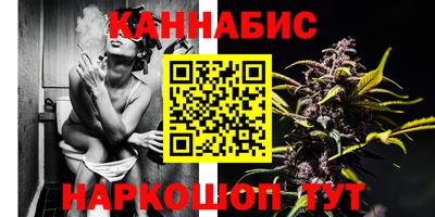 PSILOCYBIN Можга