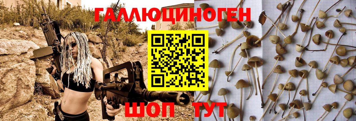 Галлюциногенные грибы Cubensis Чернушка